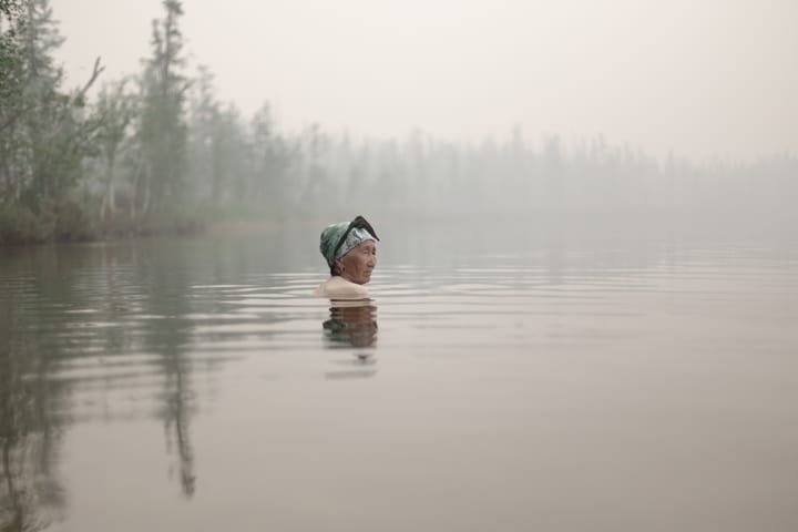Quando brillano le foglie di betulla